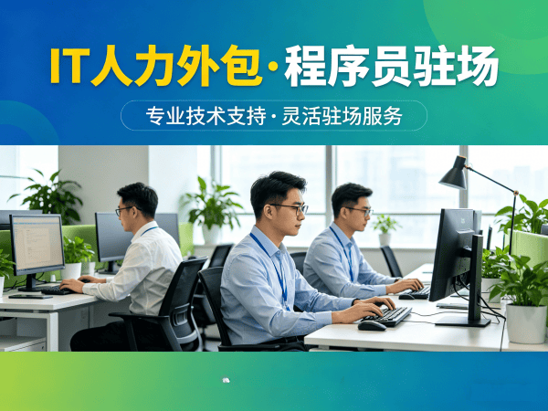 天津IT人力外包解决方案：程序员驻场开发破解企业技术人才困境