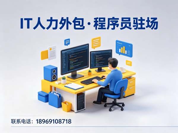 苏州IT人力外包解决方案：大数据开发程序员精准匹配与驻场开发服务