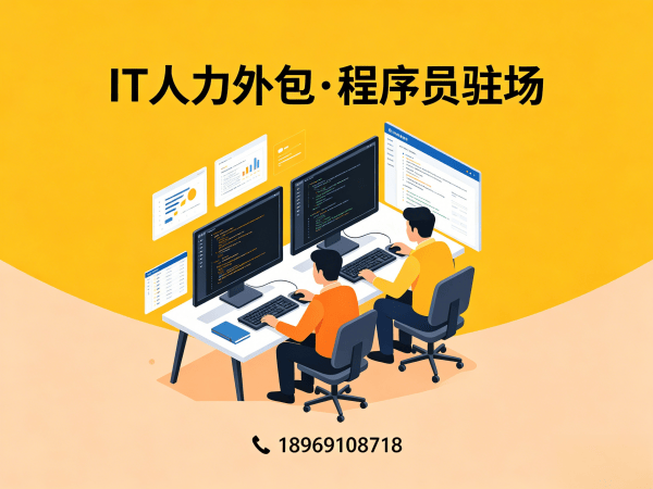 杭州IT人力外包解决方案：Go开发程序员驻场开发高效匹配企业技术需求
